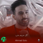 دانلود آهنگ گل مریم منی فقط اومدی که دلمو ببری (کیفیت اصلی)