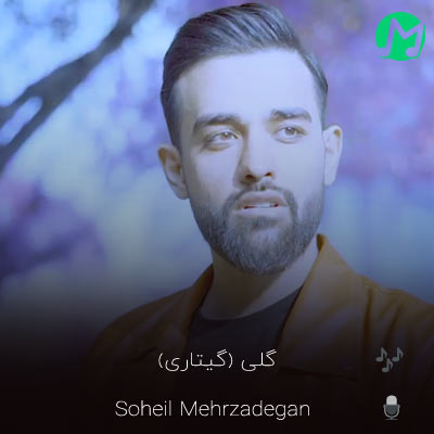 دانلود ورژن گیتاری آهنگ گلی سهیل مهرزادگان (کامل + کلیپ)