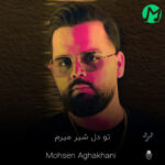 دانلود آهنگ محسن آقاخانی تو دل شیر میرم پشتتم تنهایى عزیزم (کامل 320)
