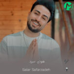دانلود آهنگ جدید سالار صفرزاده هوای سرد (گوشی تو دستمه یعنی)