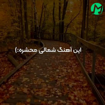 موزیک مازندرانی علی رمضانپور بنام دل ترانه خوانه دانلود آهنگ دل تره خوانه هی جیگره گوشه با ته قبوله + ریمیکس و کلیپ تصویری