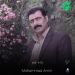 دانلود آهنگ زاده غمم پرورده دردم کوچه و کوچه وشونت گردم (کیفیت اصلی)