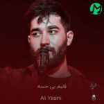 دانلود آهنگ دیگه قلبم بی حسه از الان (کیفیت اصلی)