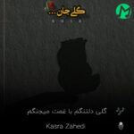 دانلود کامل اهنگ گلی دلتنگم با غمت میجنگم کسری زاهدی + کلیپ