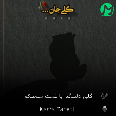 دانلود کامل اهنگ گلی دلتنگم با غمت میجنگم کسری زاهدی + کلیپ