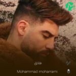 دانلود آهنگ طلاق راه پر کشیدن وقتی که قلبامون بریدن (محمد محرمی)