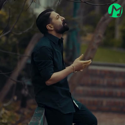 موزیک شنیدنی شاه ماهی از حمید هیراد دانلود آهنگ مثل خواب بچگی هامی حمید هیراد (شاه ماهی)