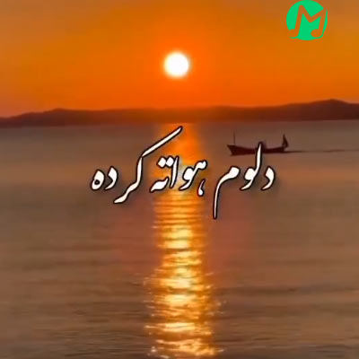 دانلود آهنگ غروب جمعه وابی دلوم هواته کرده (کلیپ استوری)