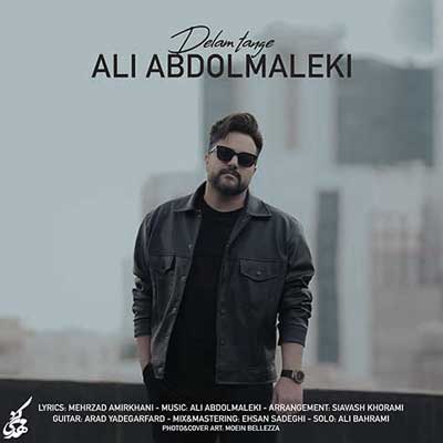 علی عبدالمالکی دلم تنگه (کیفیت MP3 با متن ترانه)