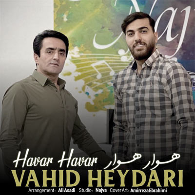 دانلود آهنگ وحید حیدری هوار هوار (تو شه دله دلو دلبر نخامه)