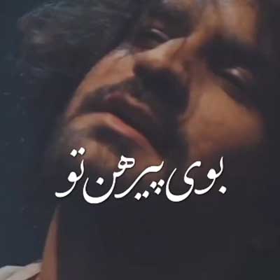 دانلود آهنگ داره میپره بوی پیرهن تو وای از دل سرگردون + کلیپ استوری