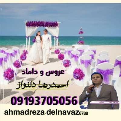 دانلود آهنگ احمدرضا دلنواز عروس و داماد