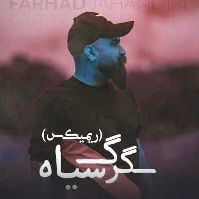 دانلود ریمیکس گرگ سیاه بسه بیا زد دلتم عشق زیاد فرهاد جهانگیری