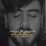 دانلود آهنگ نبیدی ببینی شل اوویدمه سعید حسینی + متن فارسی