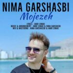 دانلود آهنگ یه کاری کردی که دیوونت بشه این دل وامونده ی بی طاقتم