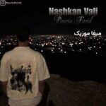 دانلود آهنگ نشکن ولی پوریا فرید / متن ترانه + کیفیت 320