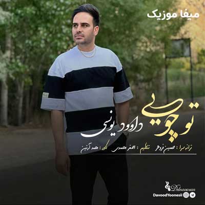 دانلود آهنگ تو چویی از داوود یونسی