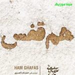 دانلود آهنگ تویی که هم قفسی ببین که من نفسی نمیکشم