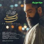 دانلود آهنگ شب مستی از علی زند وکیلی