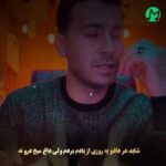 دانلود آهنگ شاید هر داغو یه روزی از یاد بردم از مرتضی باب