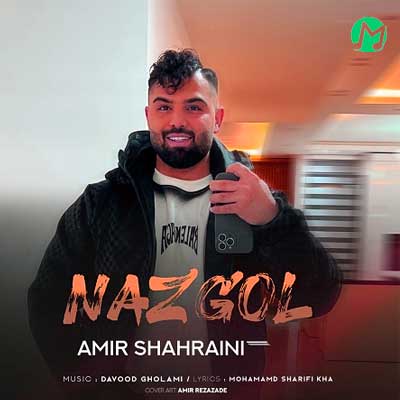 دانلود آهنگ نازگل از امیرحسین شهرایینی