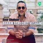 دانلود آهنگ احتمالاً دارم عاشقت میشم از امیر شهیار