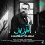 دانلود آهنگ تردید از شهریار پیروزفر  »» Tardid (متن کامل / بهترین کیفیت MP3)