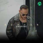دانلود آهنگ غریبه از اشوان Ashvan | Gharibe کیفیت اصلی MP3