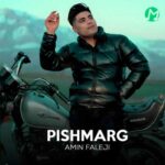 دانلود آهنگ پیش مرگ از امین فالجی »»» متن و کلیپ تصویری Amin Faleji Pish Marg