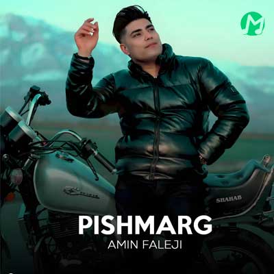 دانلود آهنگ پیش مرگ از امین فالجی »»» متن و کلیپ تصویری Amin Faleji Pish Marg