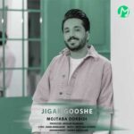 دانلود آهنگ جیگر گوشه از مجتبی دربیدی Mojtaba Dorbidi Jigar Gooshe متن کامل