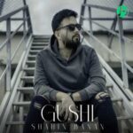 دانلود آهنگ گوشی از شاهین بنان »Shahin Banan Gooshi»