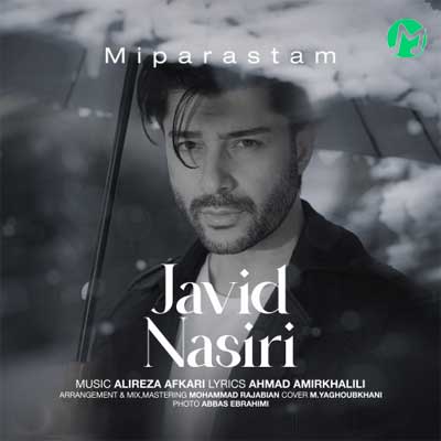 دانلود آهنگ می‌ پرستم از جاوید نصیری Javid Nasiri ((چی میدونی وقتی که می‌بینمت))