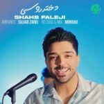 دانلود آهنگ دختر روسی از شهاب فالجی (Dokhtar Rusi) کلیپ / MP3 اصلی