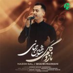 دانلود آهنگ نازوم گل از شاهین رحمانی