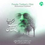 دانلود آهنگ پناه تنهایی من از محمد اصفهانی Panahe Tanhaeie Man (کامل 320 متن) دانلود آهنگ پناه تنهایی من از محمد اصفهانی Panahe Tanhaeie Man (کامل 320 متن)