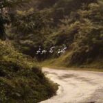دانلود آهنگ گفتم که جونمو قلب جوونمو قد کمونمو + کلیپ استوری