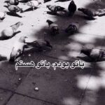 دانلود آهنگ هر چه بودم هر چه هستم دانلود آهنگ هر چه بودم هر چه هستم