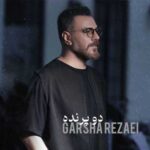 دانلود آهنگ ما دوتا مثل دو پرنده از گرشا رضایی Do Parandeh کامل + متن
