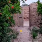 دانلود آهنگ گر بوی تو را باد به منزل برساند جانم برهاند کامل 320 + کلیپ