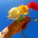 دانلود آهنگ یار دلنواز از ستایش صادق زاده