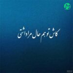 دانلود آهنگ کاش تو هم حال مرا داشتی سینه ای از کینه جدا داشتی / گروهی اینستا