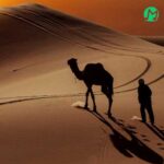 دانلود آهنگ عرب خلیج نداره شمال کویر نداره » کیفیت عالی mp3 دانلود آهنگ عرب خلیج نداره شمال کویر نداره » کیفیت عالی mp3