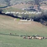 دانلود آهنگ آخ جانا نازنین از عشق مردم ناز تا کی میکنی + کلیپ استوری و متن دانلود آهنگ آخ جانا نازنین از عشق مردم ناز تا کی میکنی + کلیپ استوری و متن