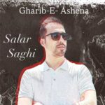 دانلود آهنگ غریبه آشنا از سالار ساقی