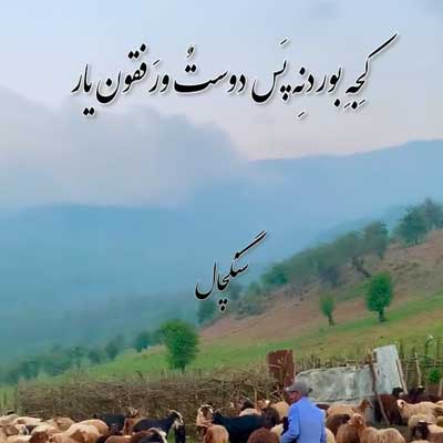 دانلود آهنگ مگه ییلاق نیا جای عزیزون یار + کلیپ اینستاگرام