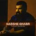 دانلود آهنگ نبش قبر از فرهاد جهانگیری (Farhad Jahangiri / Nabsh Ghabr)