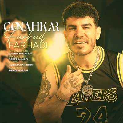 دانلود آهنگ گناهکار از فرهاد فرهادی Gonahkar با لینک مستقیم