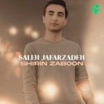 دانلود آهنگ شیرین زبون از صالح جعفرزاده »» کامل 320 + متن