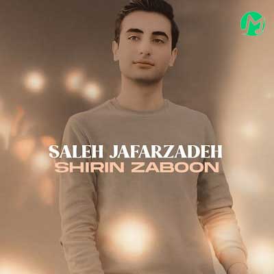 دانلود آهنگ شیرین زبون از صالح جعفرزاده »» کامل 320 + متن